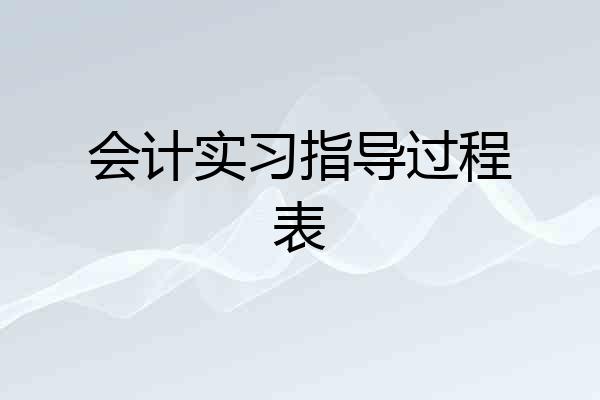 会计实习指导过程表