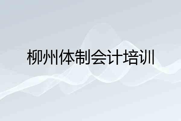柳州体制会计培训