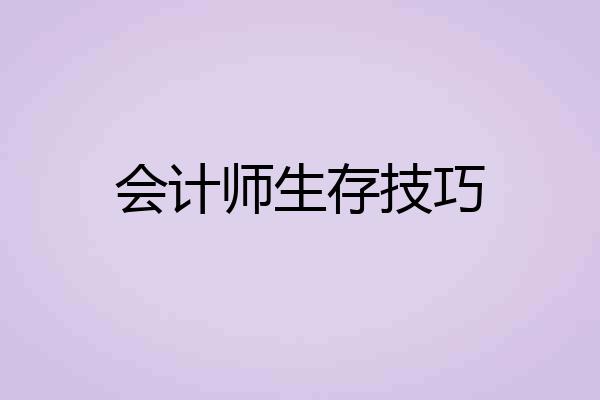 会计师生存技巧