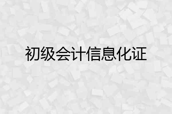 初级会计信息化证