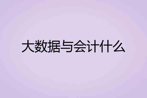 大数据与会计什么