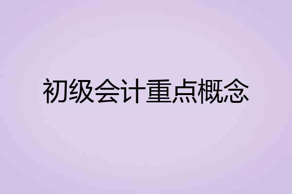 初级会计重点概念