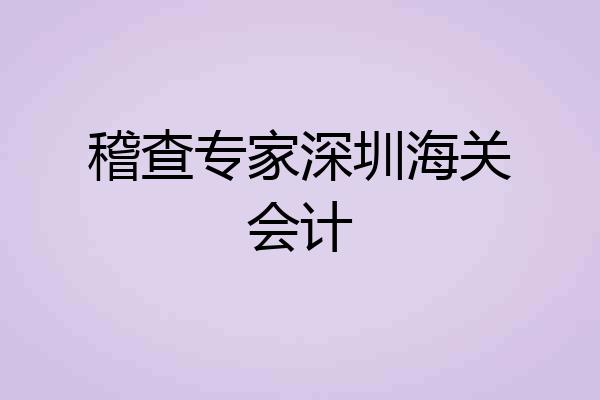 稽查专家深圳海关会计