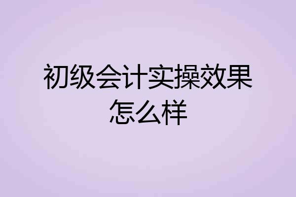 初级会计实操效果怎么样