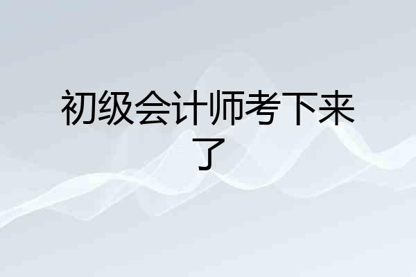 初级会计师考下来了