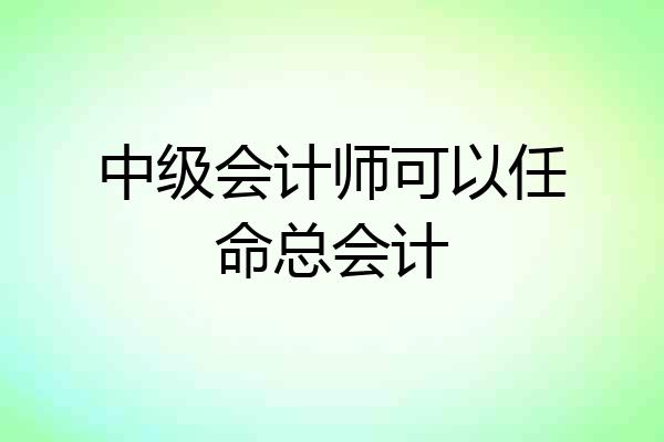 中级会计师可以任命总会计