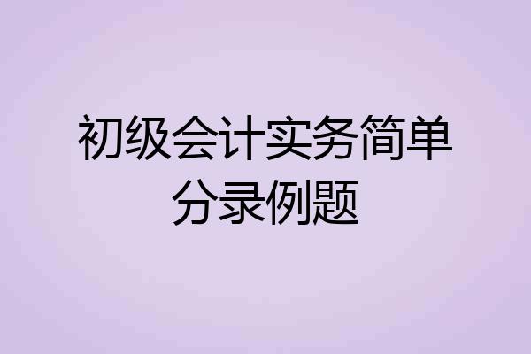 初级会计实务简单分录例题