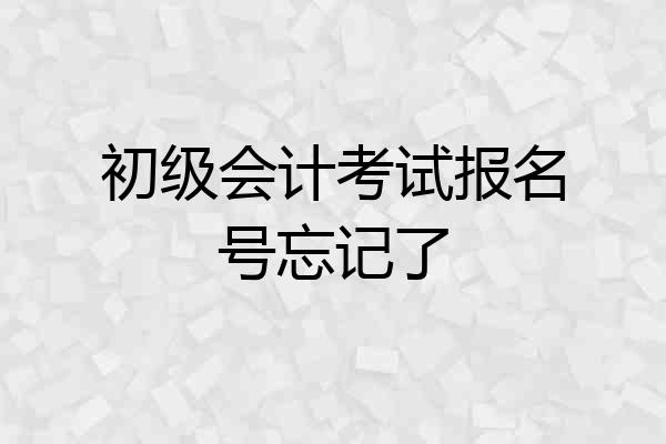 初级会计考试报名号忘记了