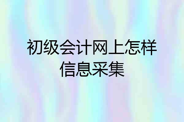 初级会计网上怎样信息采集
