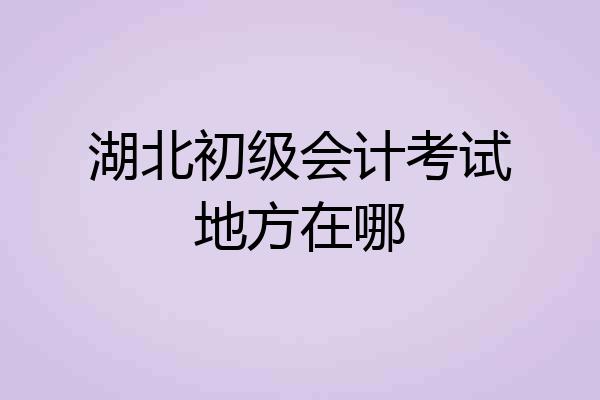 湖北初级会计考试地方在哪