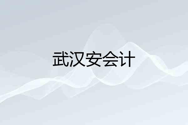 武汉安会计