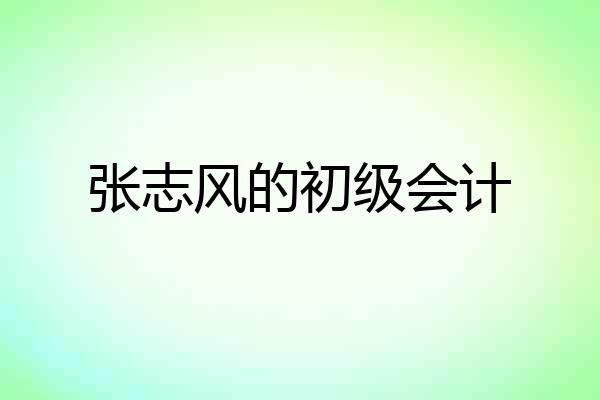 张志风的初级会计