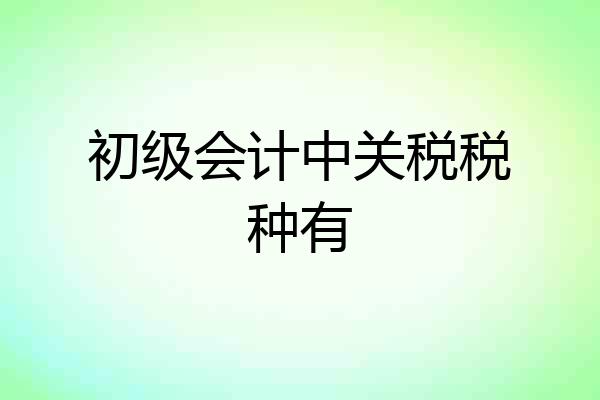 初级会计中关税税种有