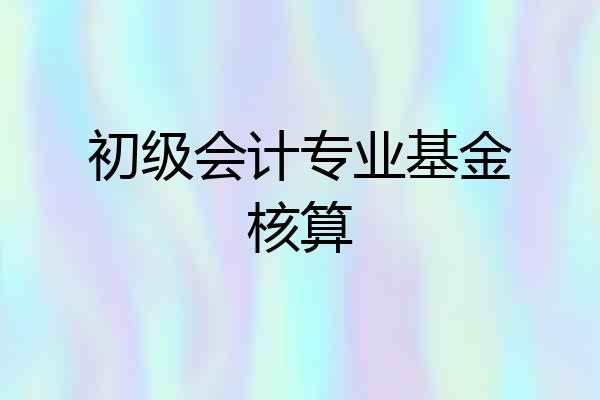 初级会计专业基金核算