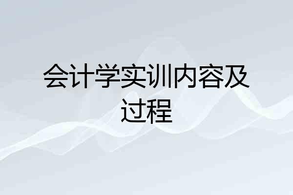 会计学实训内容及过程