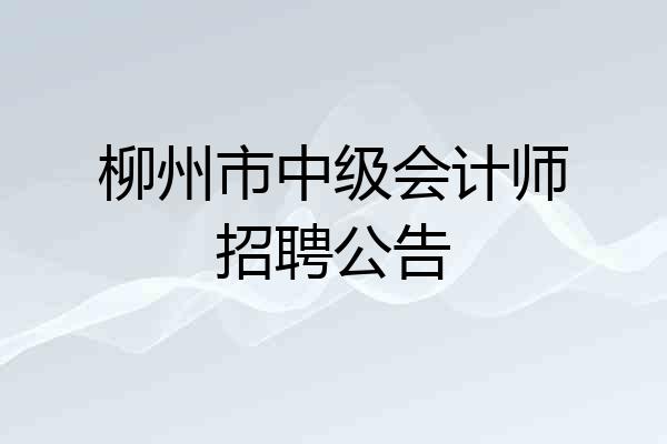 柳州市中级会计师招聘公告