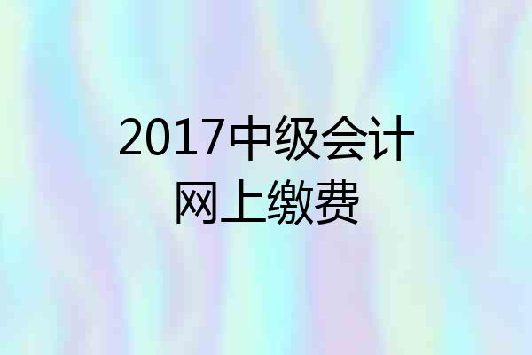 2017中级会计网上缴费