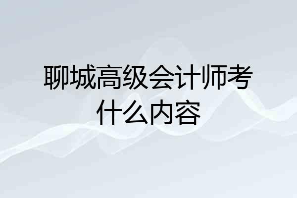 聊城高级会计师考什么内容