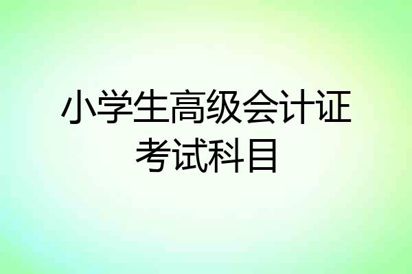 小学生高级会计证考试科目