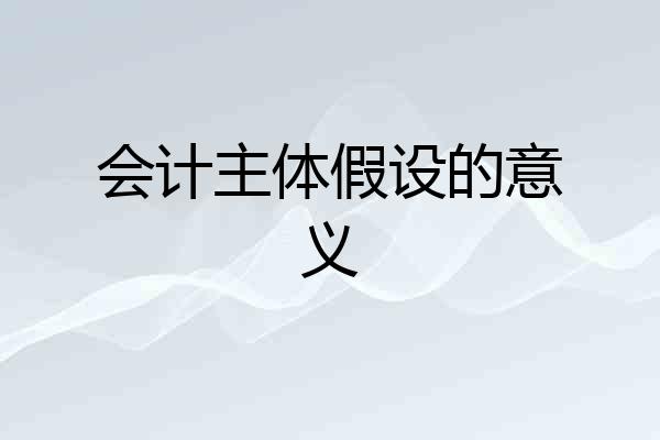 会计主体假设的意义