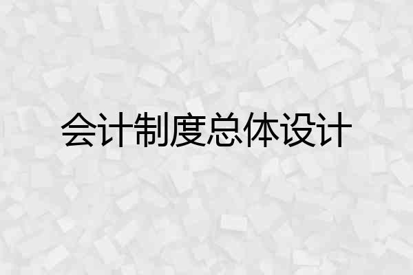 会计制度总体设计