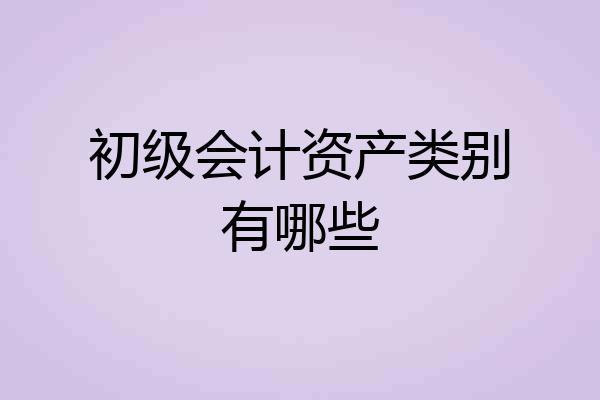 初级会计资产类别有哪些