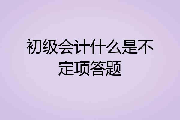 初级会计什么是不定项答题
