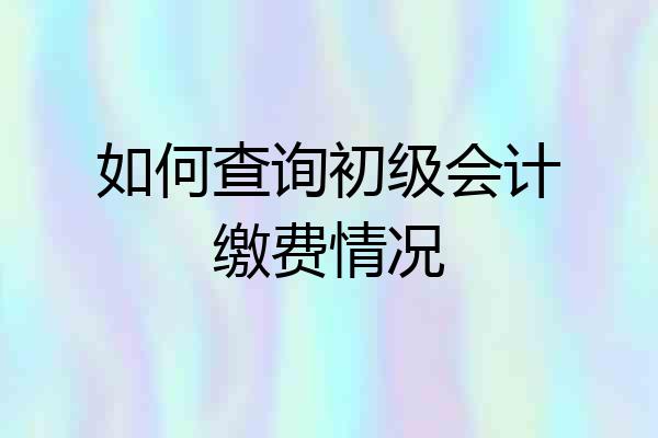 如何查询初级会计缴费情况