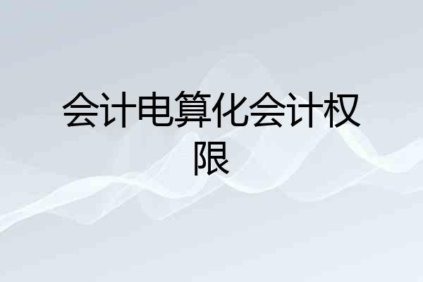 会计电算化会计权限
