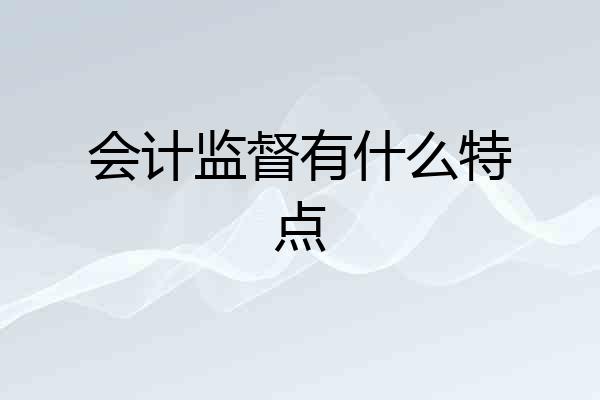 会计监督有什么特点