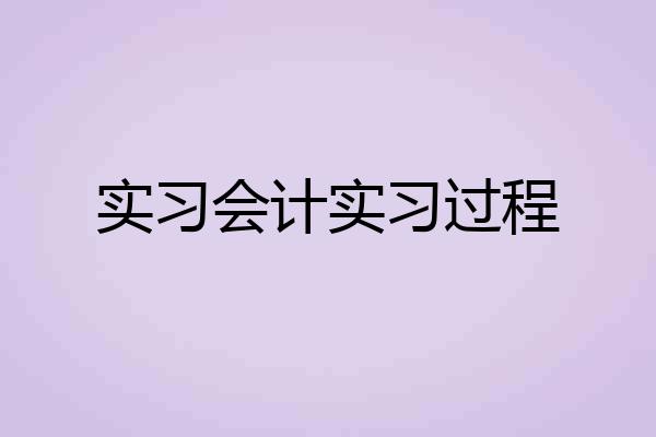 实习会计实习过程