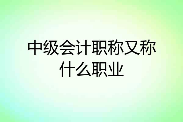 中级会计职称又称什么职业