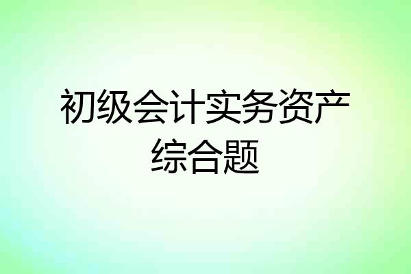 初级会计实务资产综合题