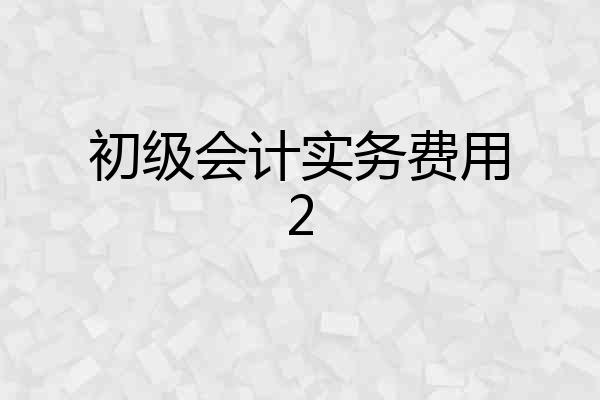 初级会计实务费用2