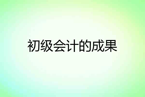 初级会计的成果