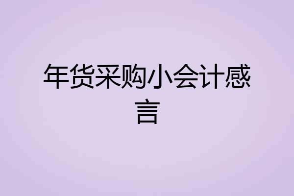 年货采购小会计感言