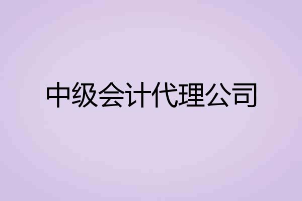 中级会计代理公司