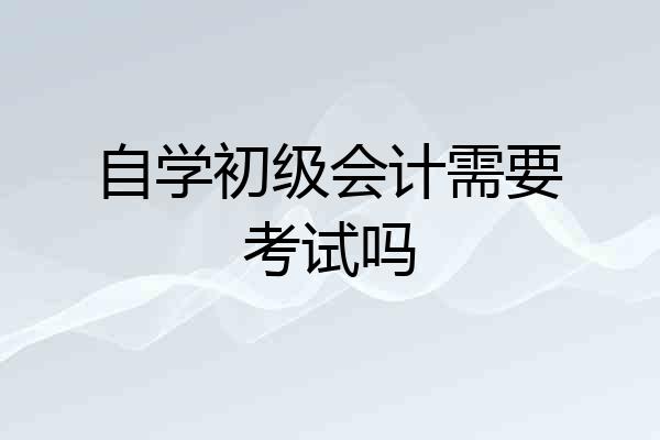 自学初级会计需要考试吗