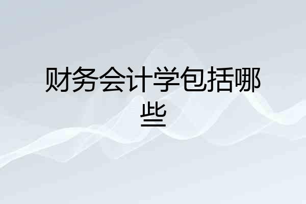 财务会计学包括哪些
