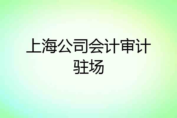 上海公司会计审计驻场
