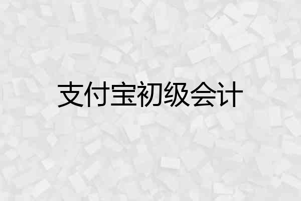 支付宝初级会计