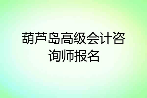葫芦岛高级会计咨询师报名
