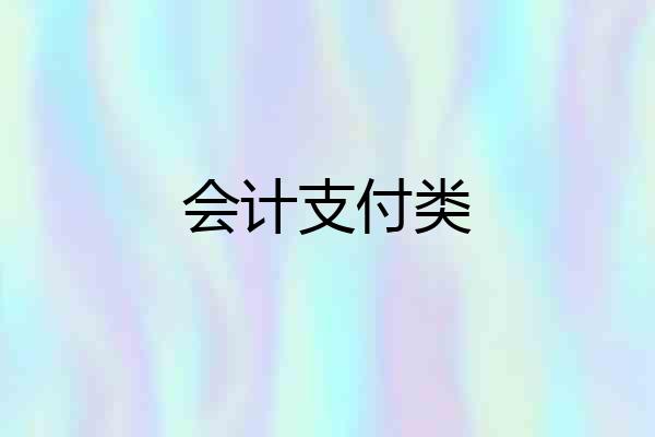 会计支付类