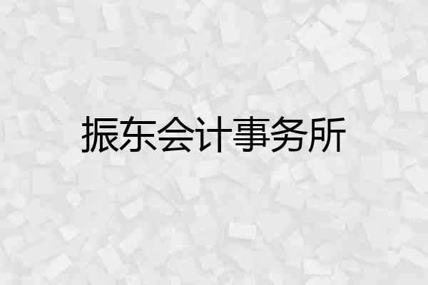 振东会计事务所