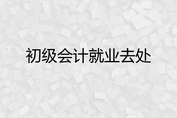 初级会计就业去处
