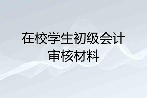 在校学生初级会计审核材料