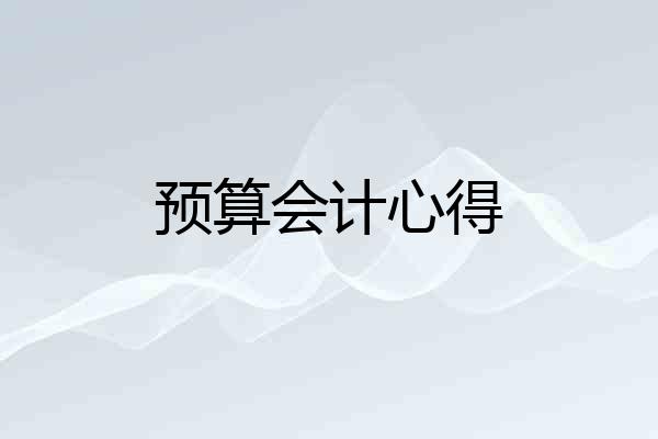预算会计心得
