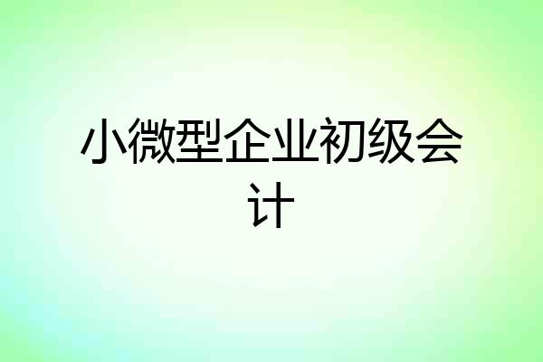 小微型企业初级会计