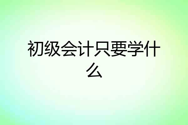 初级会计只要学什么