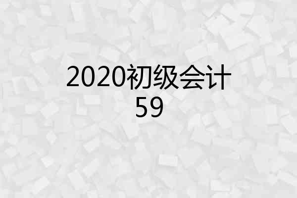 2020初级会计59